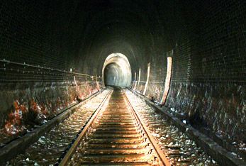 elbmeile Schellfischtunnel 31171494 - Elbmeile Hamburg