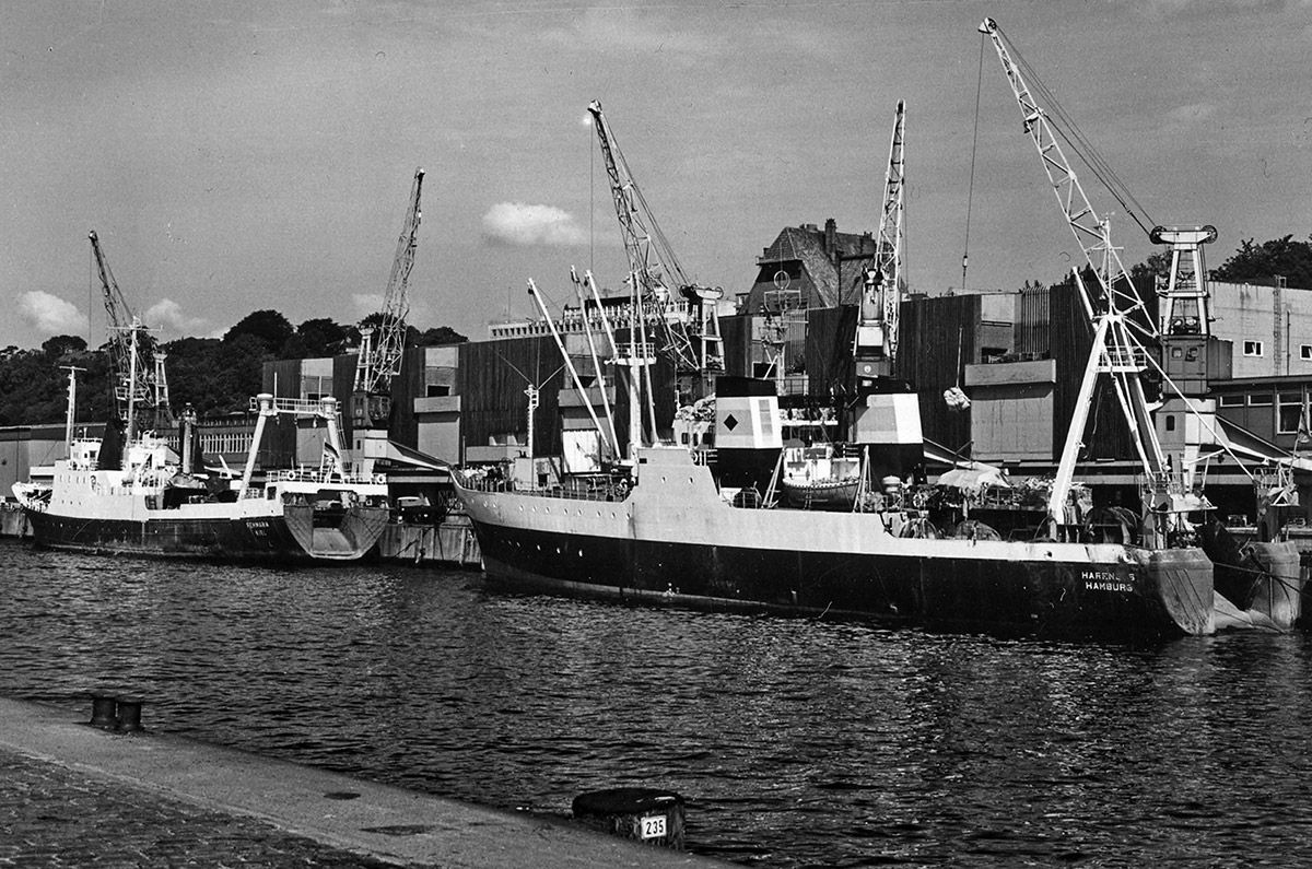 Geschichte 19 Hecktrawler an Halle III, der ersten kombinierten Fisch-, Umschlags- und Tiefkühllagerhalle