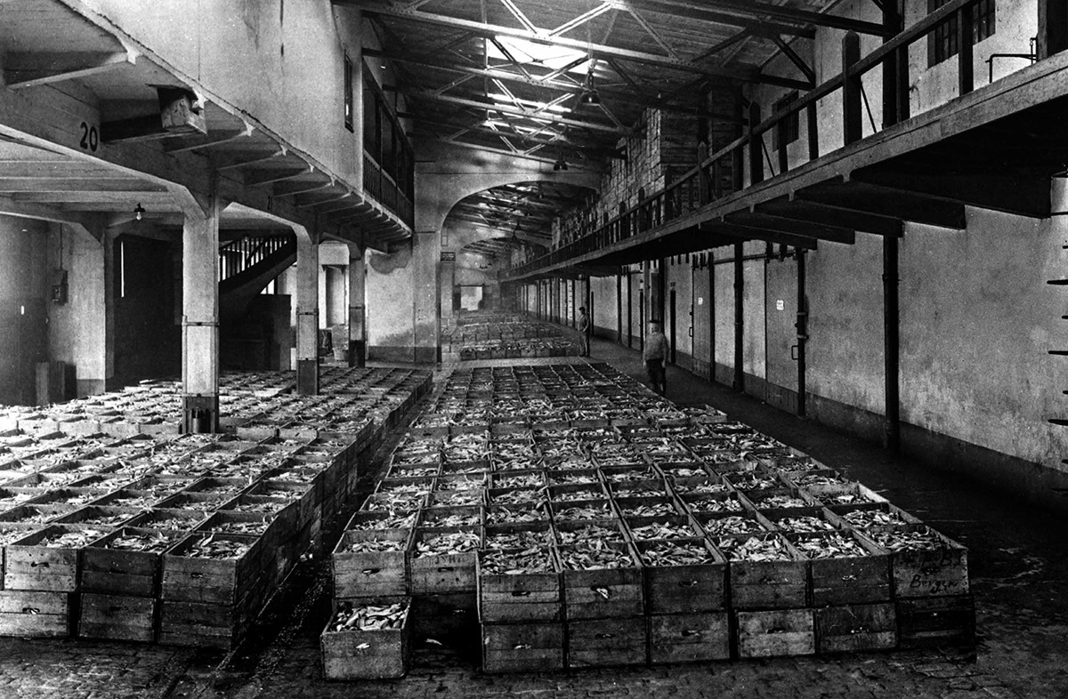 Geschichte 10 Die Fischauktionshalle im neuen Fischereihafen