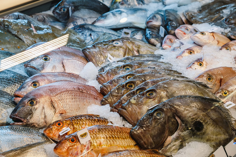 Mitglieder 25 frische paradise 04 - Elbmeile Hamburg